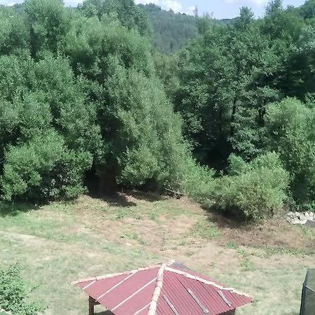 וונשטה וודה Guest Rooms Voneshcha Voda מראה חיצוני תמונה